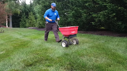 Fertilize Your Lawn